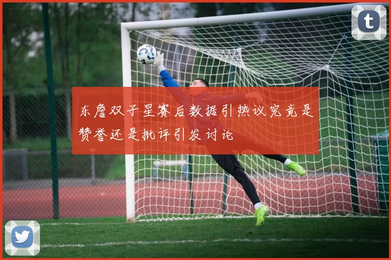 东詹双子星赛后数据引热议究竟是赞誉还是批评引发讨论